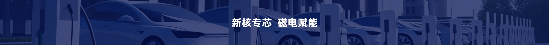 深圳市新核瑞科技有限公司